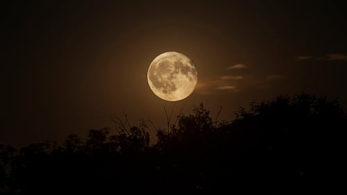 Pleine lune du 5 novembre: une superlune en Taureau qui décoiffe!